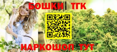 таблы Новозыбков