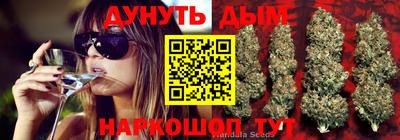таблы Новозыбков